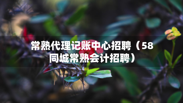 常熟代理記賬中心招聘（58同城常熟會計招聘）