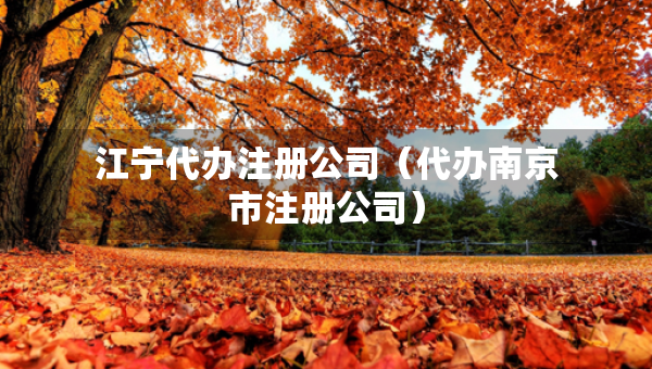 江寧代辦注冊公司（代辦南京市注冊公司）