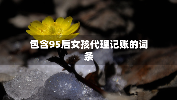 包含95后女孩代理記賬的詞條