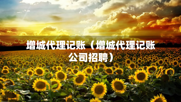 增城代理記賬（增城代理記賬公司招聘）