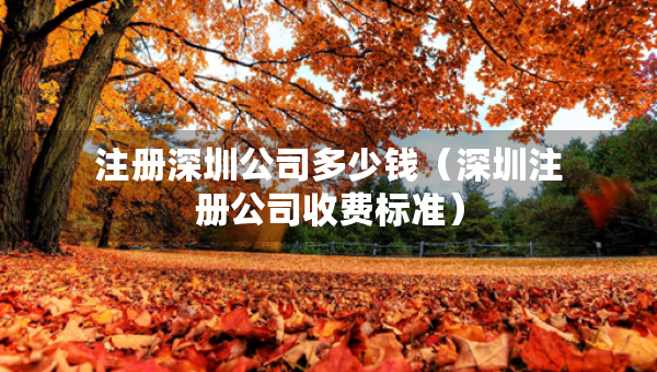 注冊深圳公司多少錢（深圳注冊公司收費標準）