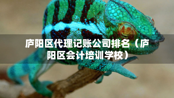 廬陽區(qū)代理記賬公司排名（廬陽區(qū)會計培訓學校）