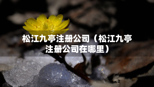 松江九亭注冊公司（松江九亭注冊公司在哪里）