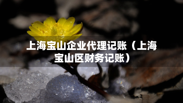 上海寶山企業(yè)代理記賬（上海寶山區(qū)財務(wù)記賬）