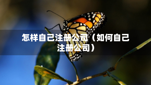怎樣自己注冊(cè)公司（如何自己注冊(cè)公司）