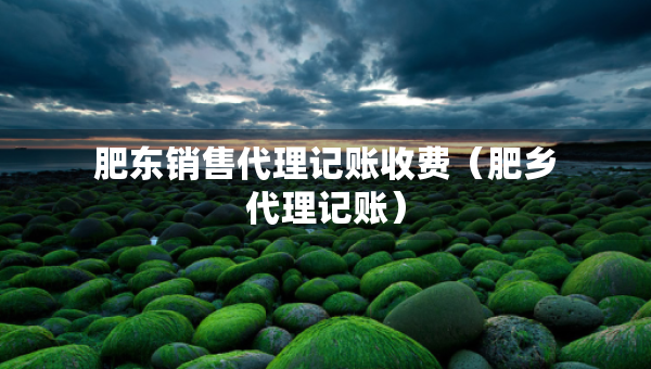 肥東銷售代理記賬收費(fèi)（肥鄉(xiāng)代理記賬）