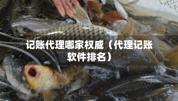 記賬代理哪家權(quán)威（代理記賬軟件排名）