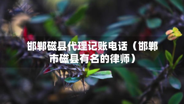 邯鄲磁縣代理記賬電話（邯鄲市磁縣有名的律師）