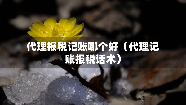 代理報(bào)稅記賬哪個(gè)好（代理記賬報(bào)稅話術(shù)）