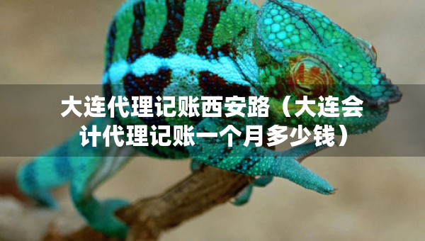 大連代理記賬西安路（大連會計代理記賬一個月多少錢）