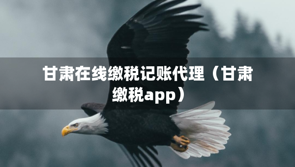 甘肅在線繳稅記賬代理（甘肅繳稅app）