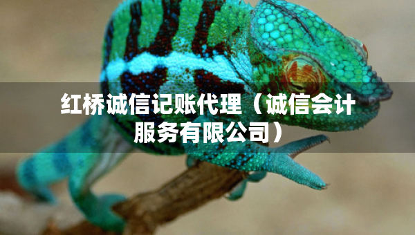 紅橋誠信記賬代理（誠信會計服務(wù)有限公司）