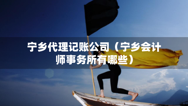 寧鄉(xiāng)代理記賬公司（寧鄉(xiāng)會計師事務所有哪些）