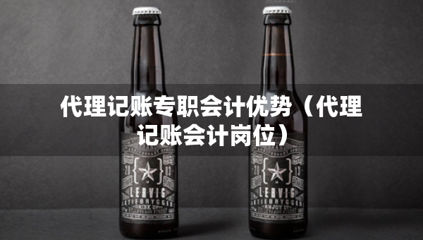 代理記賬專職會(huì)計(jì)優(yōu)勢(shì)（代理記賬會(huì)計(jì)崗位）
