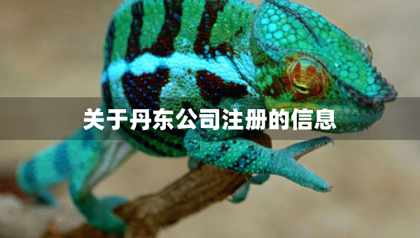 關(guān)于丹東公司注冊的信息
