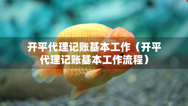 開平代理記賬基本工作（開平代理記賬基本工作流程）