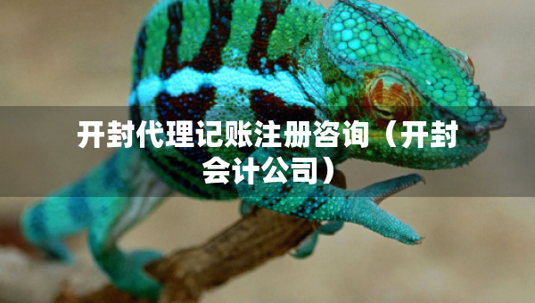開封代理記賬注冊(cè)咨詢（開封會(huì)計(jì)公司）