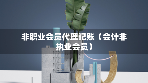 非職業(yè)會員代理記賬（會計(jì)非執(zhí)業(yè)會員）