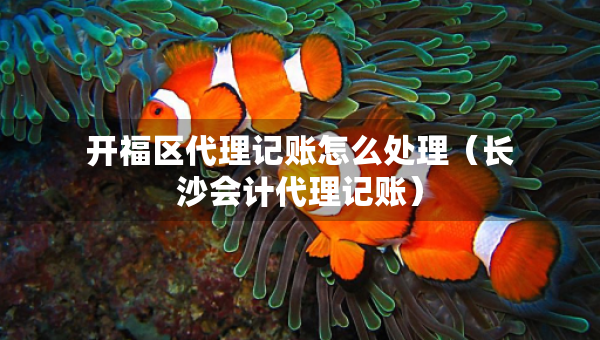 開福區(qū)代理記賬怎么處理（長沙會(huì)計(jì)代理記賬）