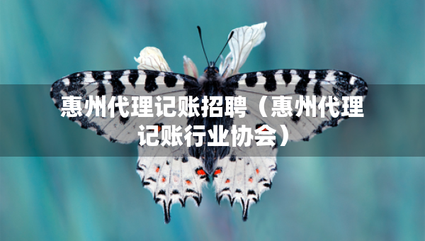 惠州代理記賬招聘（惠州代理記賬行業(yè)協(xié)會(huì)）