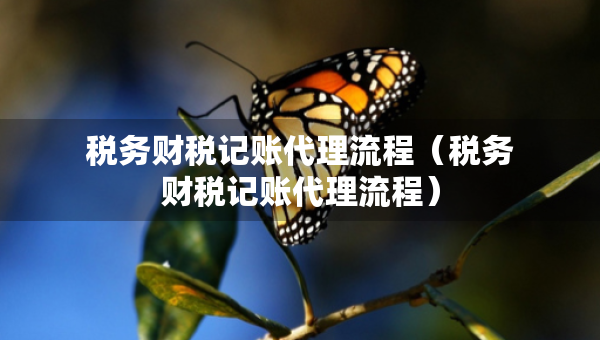 稅務(wù)財(cái)稅記賬代理流程（稅務(wù)財(cái)稅記賬代理流程）