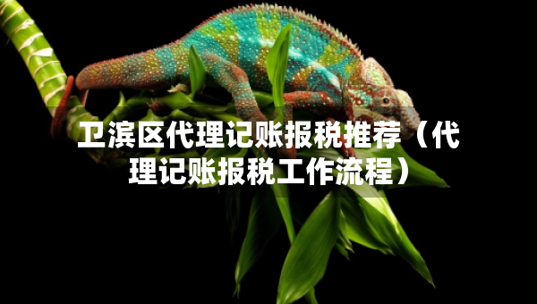 衛(wèi)濱區(qū)代理記賬報(bào)稅推薦（代理記賬報(bào)稅工作流程）