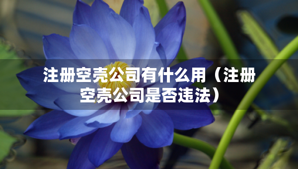 注冊空殼公司有什么用（注冊空殼公司是否違法）