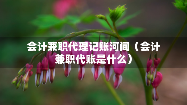 會計(jì)兼職代理記賬河間（會計(jì)兼職代賬是什么）