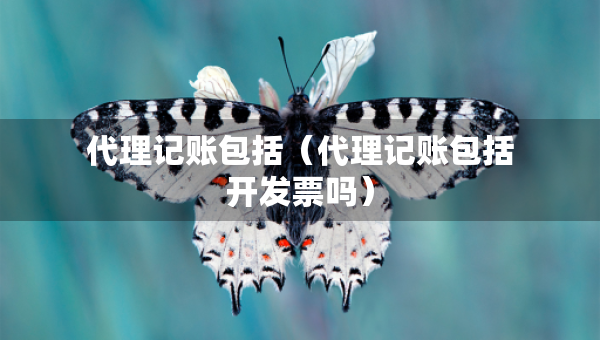 代理記賬包括（代理記賬包括開發(fā)票嗎）