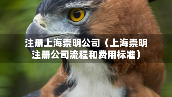注冊(cè)上海崇明公司（上海崇明注冊(cè)公司流程和費(fèi)用標(biāo)準(zhǔn)）
