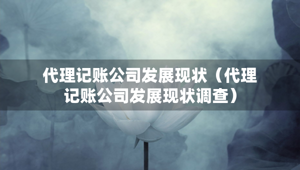 代理記賬公司發(fā)展現(xiàn)狀（代理記賬公司發(fā)展現(xiàn)狀調(diào)查）