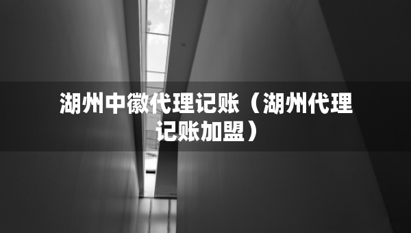 湖州中徽代理記賬（湖州代理記賬加盟）