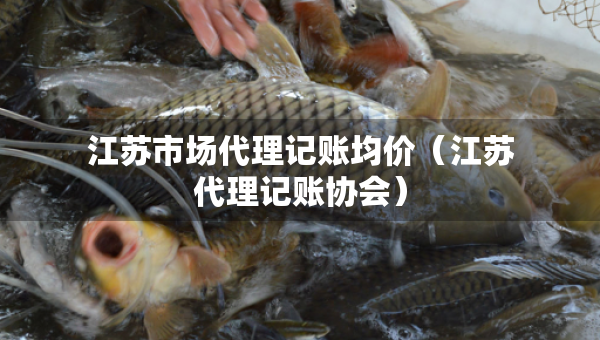 江蘇市場(chǎng)代理記賬均價(jià)（江蘇代理記賬協(xié)會(huì)）