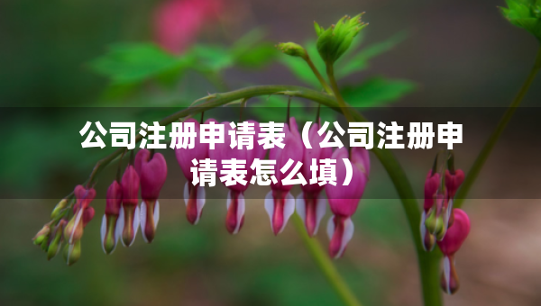 公司注冊(cè)申請(qǐng)表（公司注冊(cè)申請(qǐng)表怎么填）