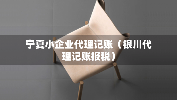 寧夏小企業(yè)代理記賬（銀川代理記賬報稅）
