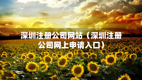 深圳注冊公司網(wǎng)站（深圳注冊公司網(wǎng)上申請入口）