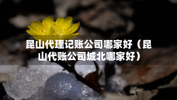 昆山代理記賬公司哪家好（昆山代賬公司城北哪家好）