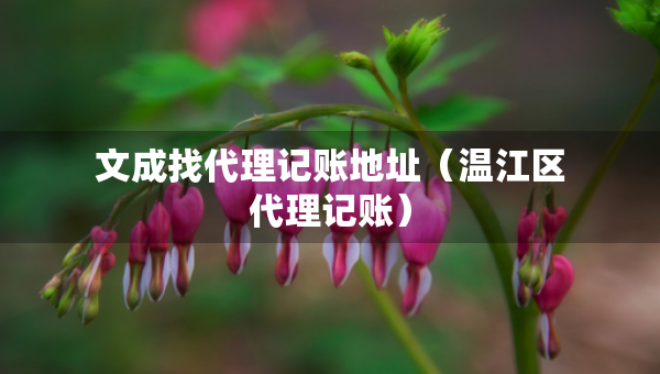 文成找代理記賬地址（溫江區(qū)代理記賬）