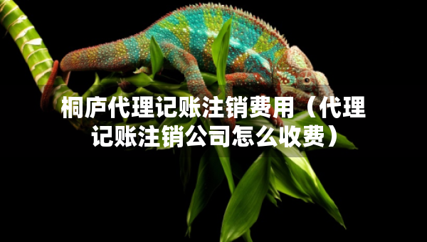 桐廬代理記賬注銷費用（代理記賬注銷公司怎么收費）