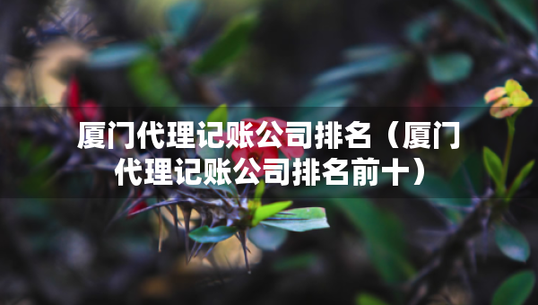 廈門代理記賬公司排名（廈門代理記賬公司排名前十）