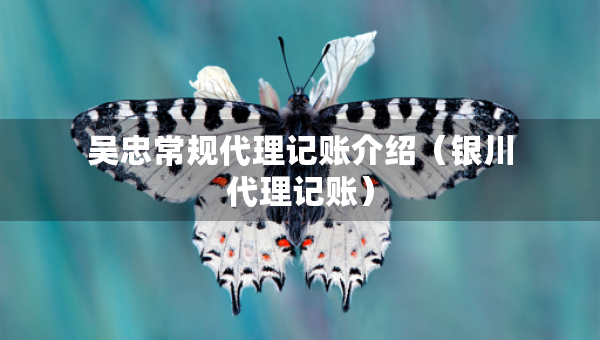 吳忠常規(guī)代理記賬介紹（銀川代理記賬）