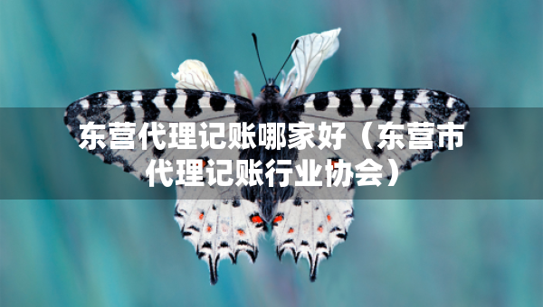 東營代理記賬哪家好（東營市代理記賬行業(yè)協(xié)會）