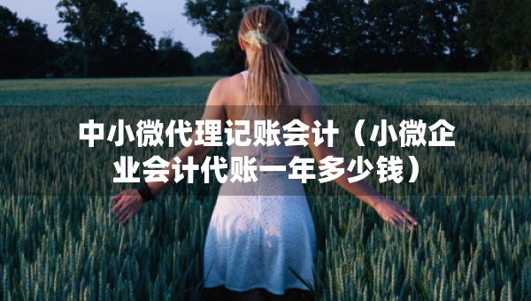 中小微代理記賬會(huì)計(jì)（小微企業(yè)會(huì)計(jì)代賬一年多少錢）