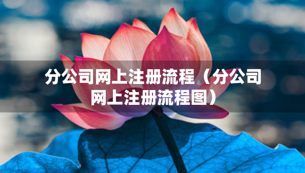 分公司網(wǎng)上注冊(cè)流程（分公司網(wǎng)上注冊(cè)流程圖）