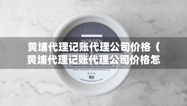 黃埔代理記賬代理公司價格（黃埔代理記賬代理公司價格怎么樣）