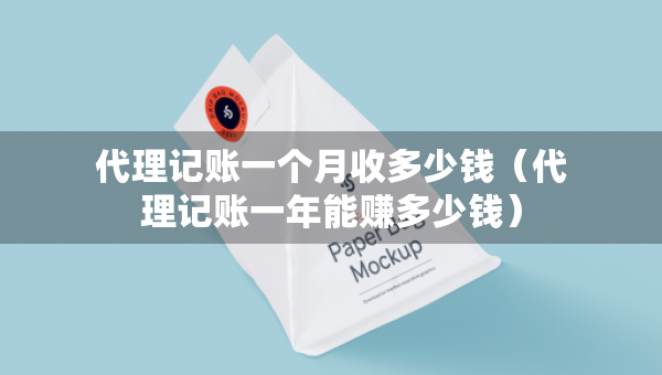 代理記賬一個月收多少錢（代理記賬一年能賺多少錢）
