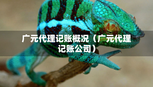廣元代理記賬概況（廣元代理記賬公司）