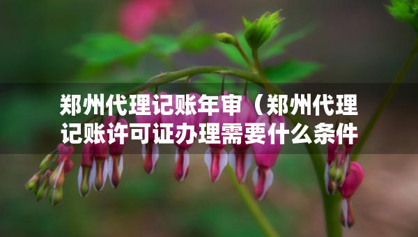 鄭州代理記賬年審（鄭州代理記賬許可證辦理需要什么條件）