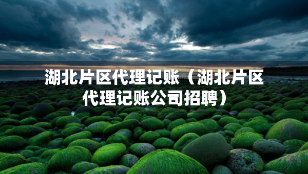 湖北片區(qū)代理記賬（湖北片區(qū)代理記賬公司招聘）