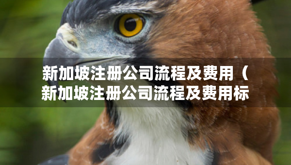 新加坡注冊(cè)公司流程及費(fèi)用（新加坡注冊(cè)公司流程及費(fèi)用標(biāo)準(zhǔn)）